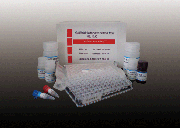 �u�³��߲������w�z�yԇ����